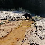Maly Dabek I Dom Z Dostepem Do Basenu Wewnetrznego, Zewnetrznego, Brodzikow Dla Dzieci, Sali Zabaw Oraz Animacji Σπίτι διακοπών Poddąbie