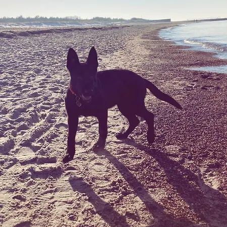 Hébergement de vacances Maly Dabek I Dom Z Dostepem Do Basenu Wewnetrznego, Zewnetrznego, Brodzikow Dla Dzieci, Sali Zabaw Oraz Animacji *