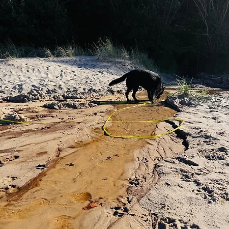 Maly Dabek I Dom Z Dostepem Do Basenu Wewnetrznego, Zewnetrznego, Brodzikow Dla Dzieci, Sali Zabaw Oraz Animacji בית נופש פודאובי