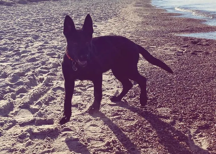 Dom wakacyjny Mały Dąbek I Dom Z Dostępem Do Basenu Wewnętrznego, Zewnętrznego, Brodzików Dla Dzieci, Sali Zabaw Oraz Animacji *