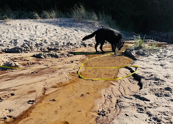 Mały Dąbek I Dom Z Dostępem Do Basenu Wewnętrznego, Zewnętrznego, Brodzików Dla Dzieci, Sali Zabaw Oraz Animacji Dom wakacyjny Poddąbie
